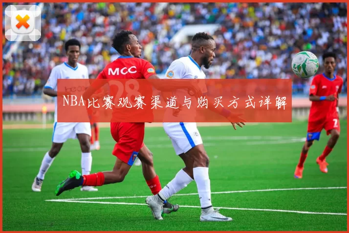 NBA比赛观赛渠道与购买方式详解