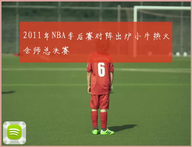 2011年NBA季后赛对阵出炉小牛热火会师总决赛