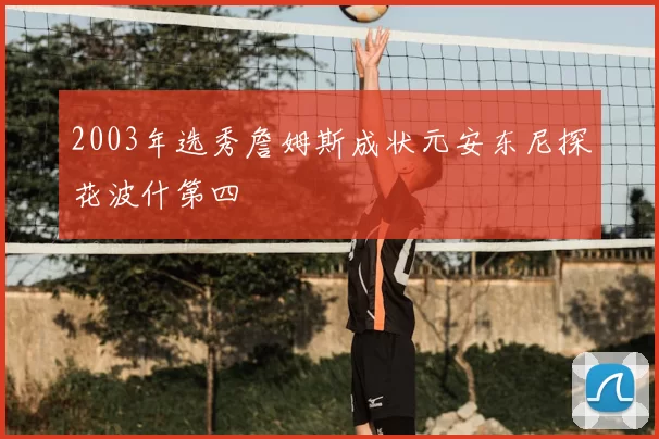 2003年选秀詹姆斯成状元安东尼探花波什第四